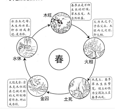 旺相休囚死|四柱学基础篇（11）—五行旺相休囚死